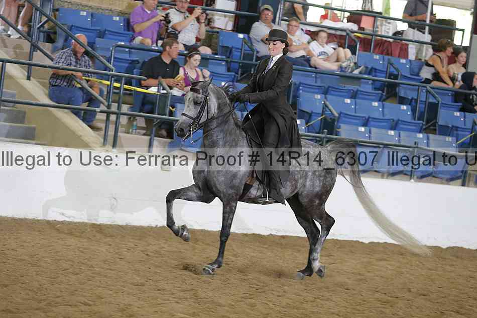 Proof Number 14r14_6307