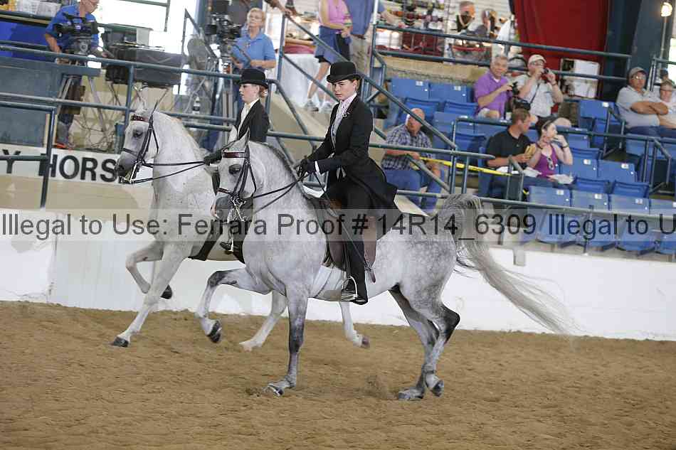 Proof Number 14r14_6309
