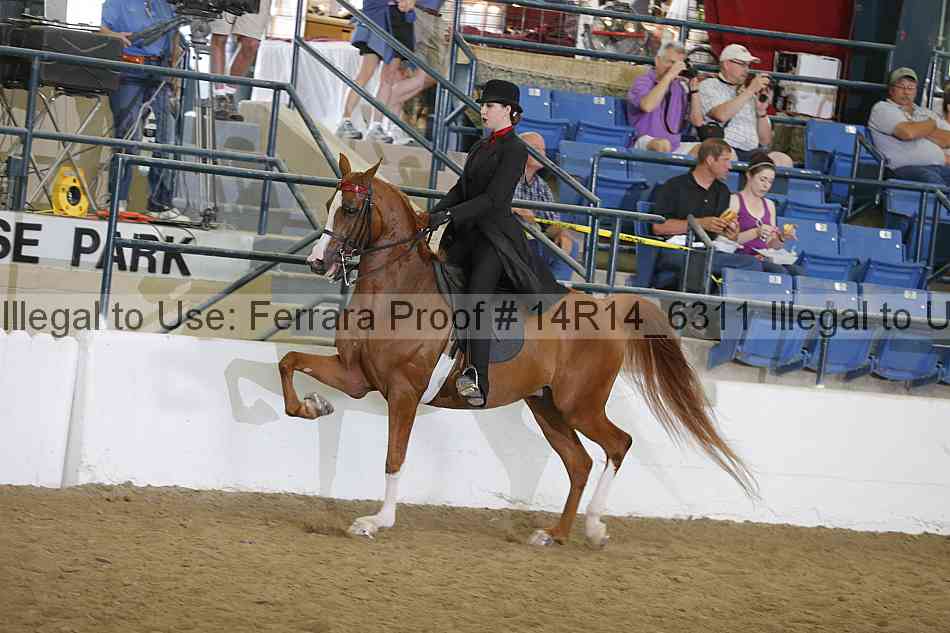 Proof Number 14r14_6311