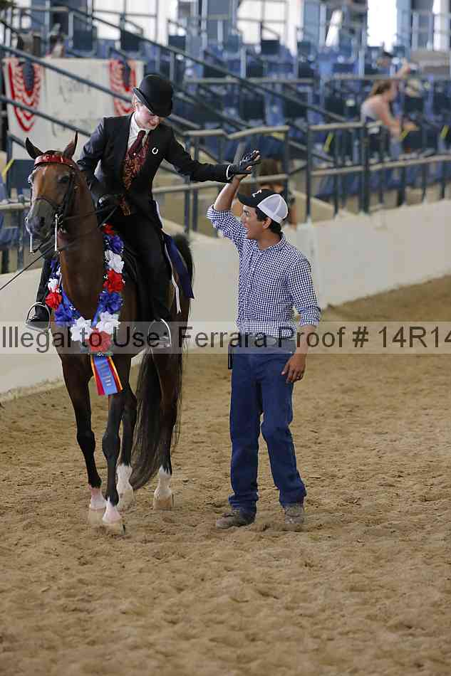 Proof Number 14r14_6320