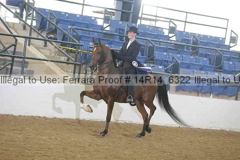 Proof Number 14r14_6322