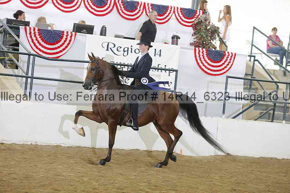 Proof Number 14r14_6323