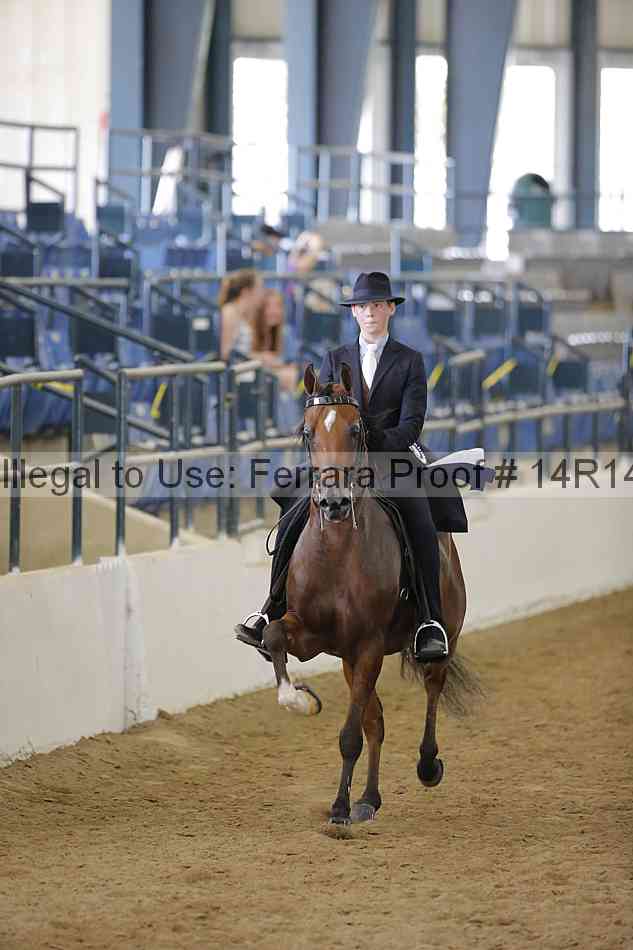 Proof Number 14r14_6324