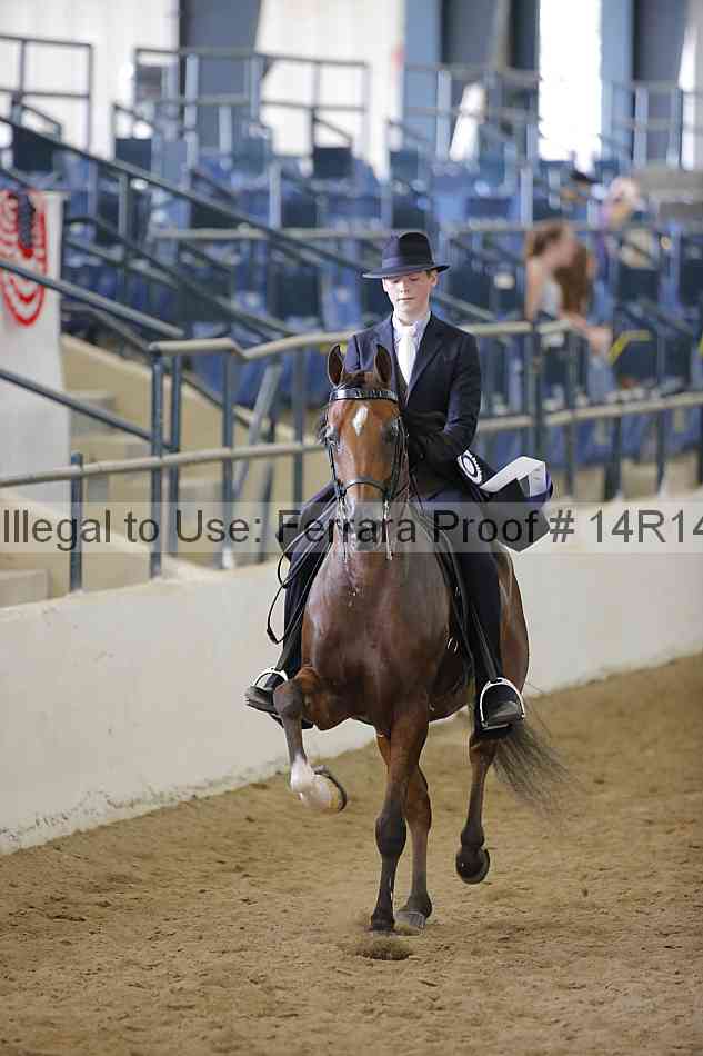 Proof Number 14r14_6325