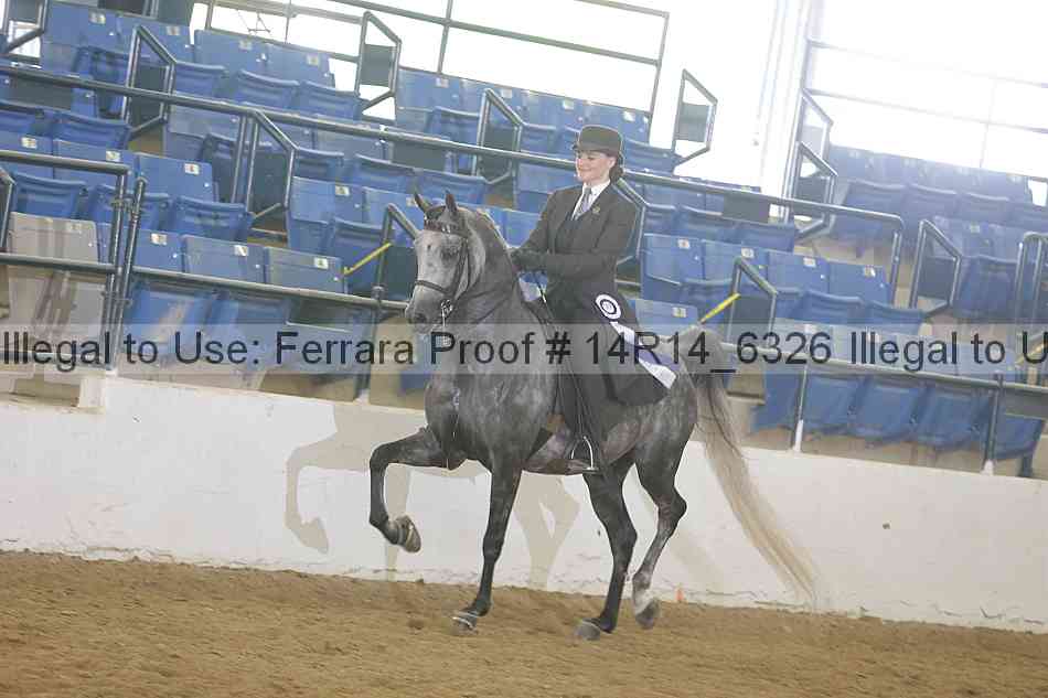Proof Number 14r14_6326
