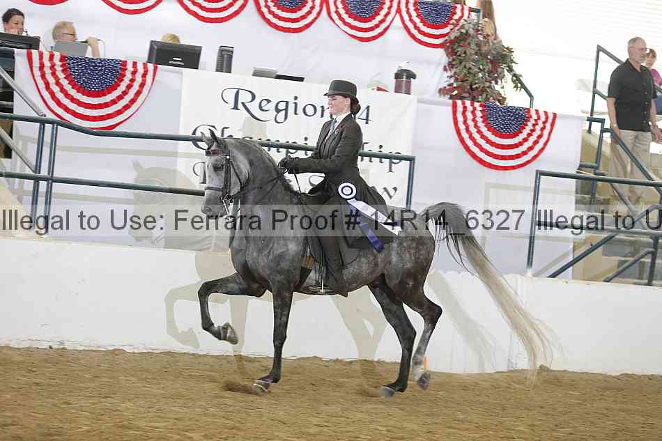 Proof Number 14r14_6327