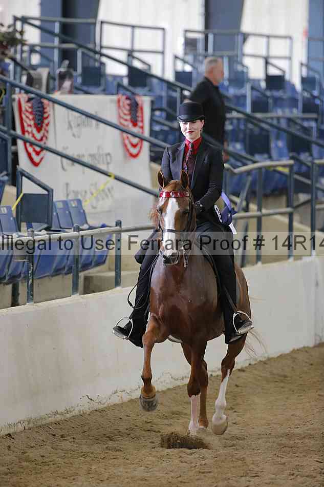 Proof Number 14r14_6334