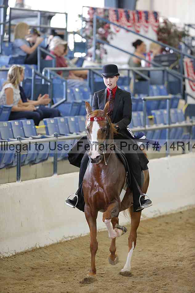 Proof Number 14r14_6336