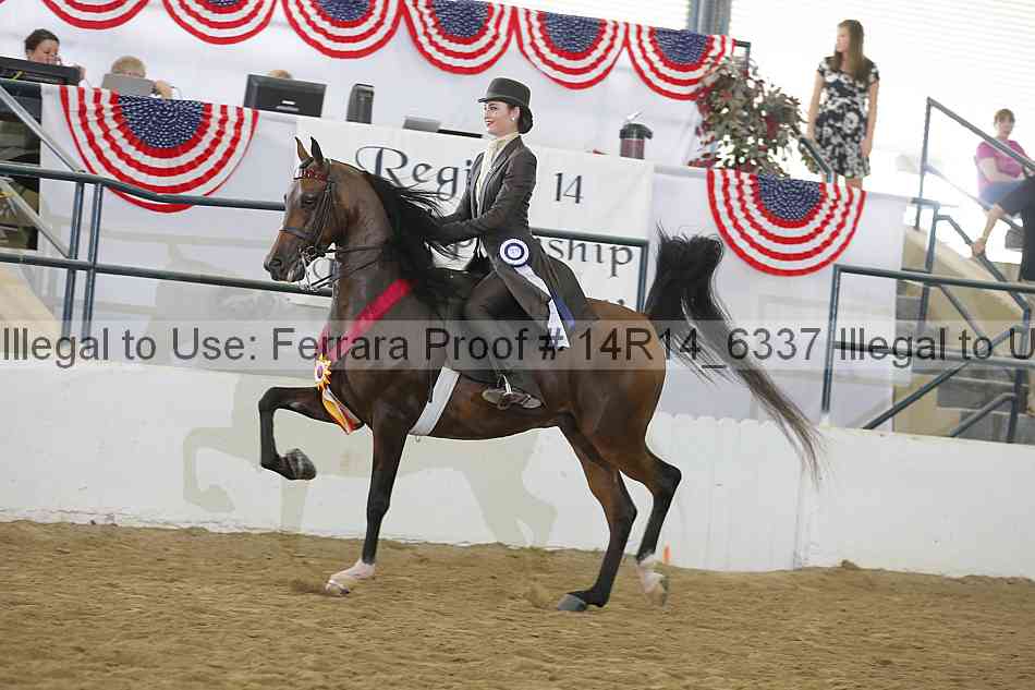 Proof Number 14r14_6337