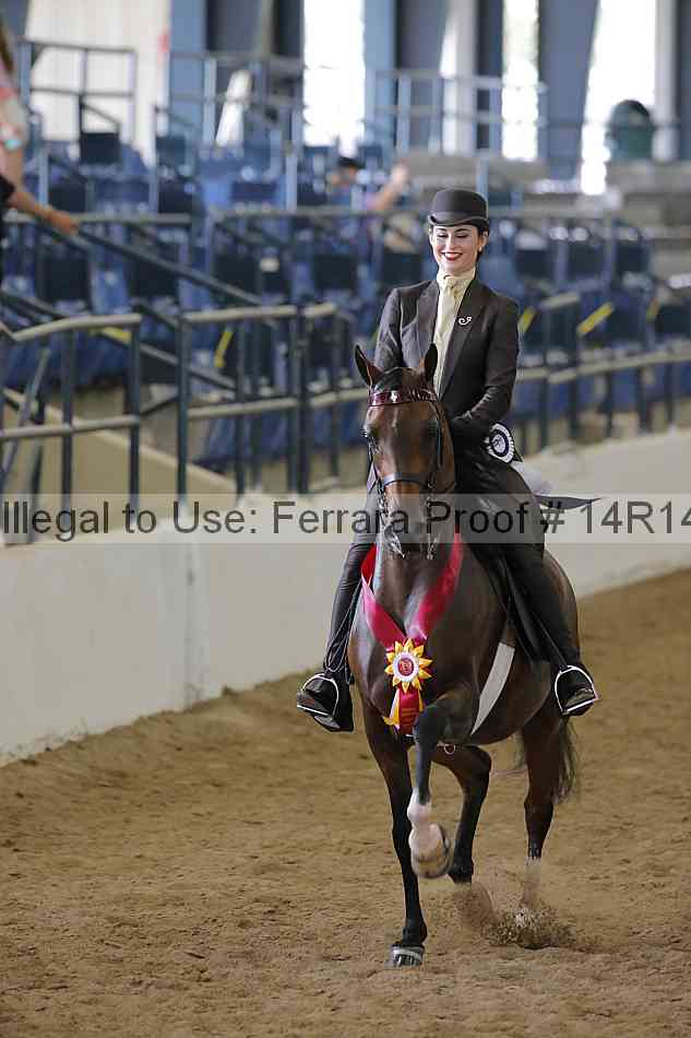 Proof Number 14r14_6340