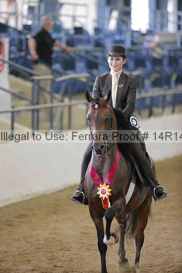 Proof Number 14r14_6341