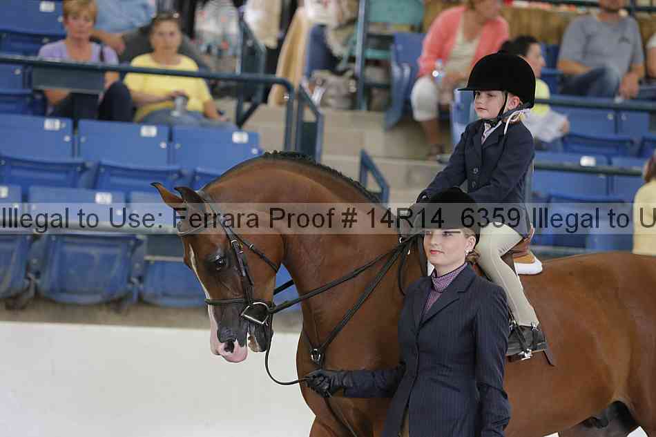 Proof Number 14r14_6359