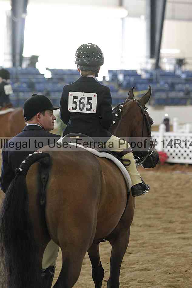 Proof Number 14r14_6371