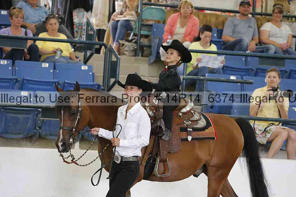 Proof Number 14r14_6374