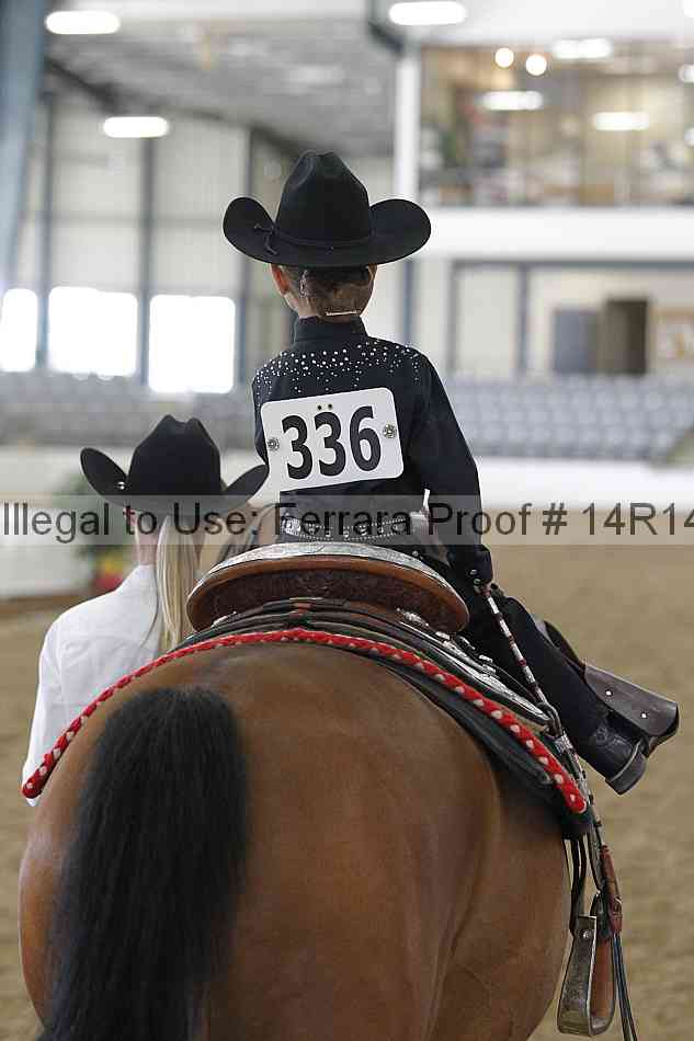 Proof Number 14r14_6375