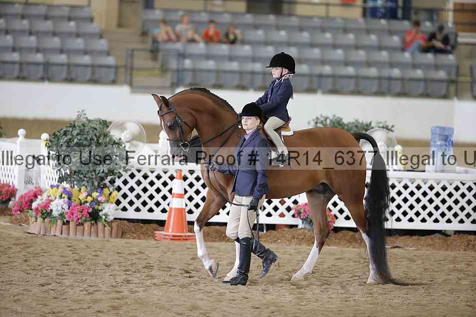 Proof Number 14r14_6377