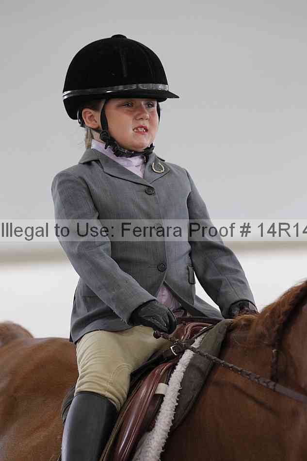 Proof Number 14r14_6389
