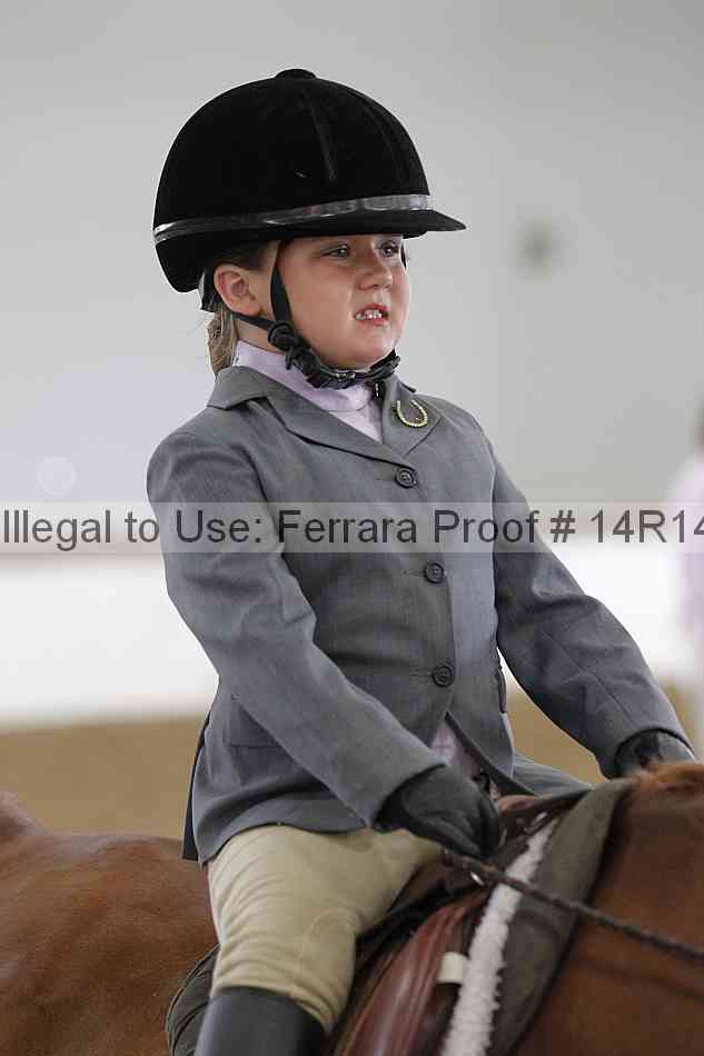 Proof Number 14r14_6390