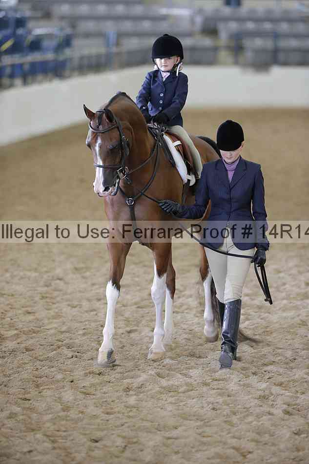 Proof Number 14r14_6391
