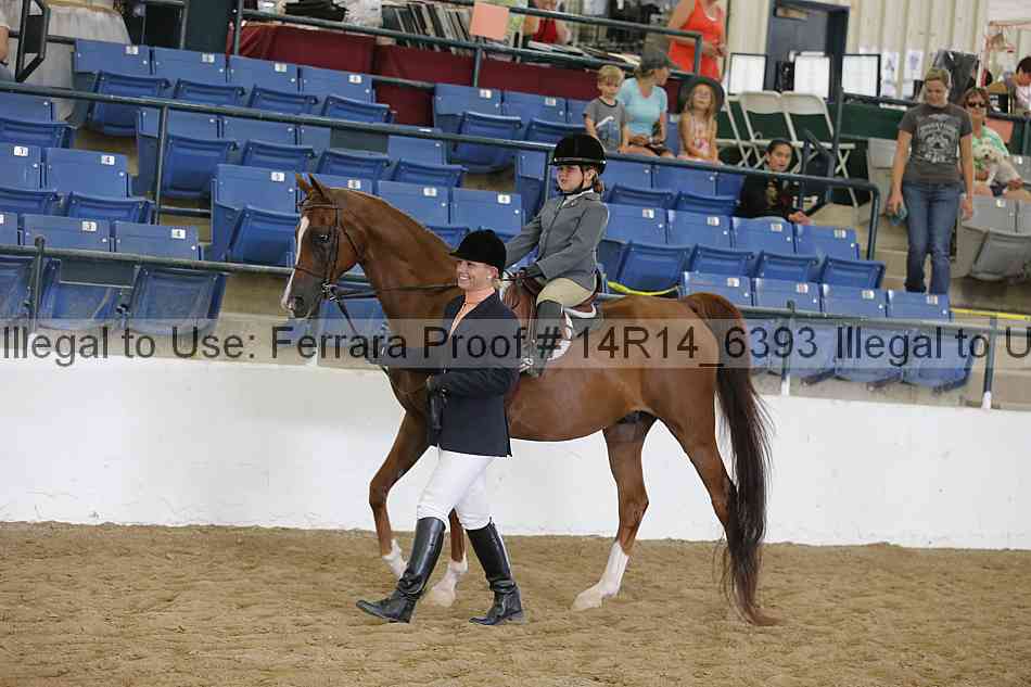 Proof Number 14r14_6393