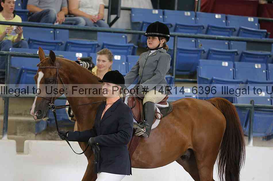 Proof Number 14r14_6396