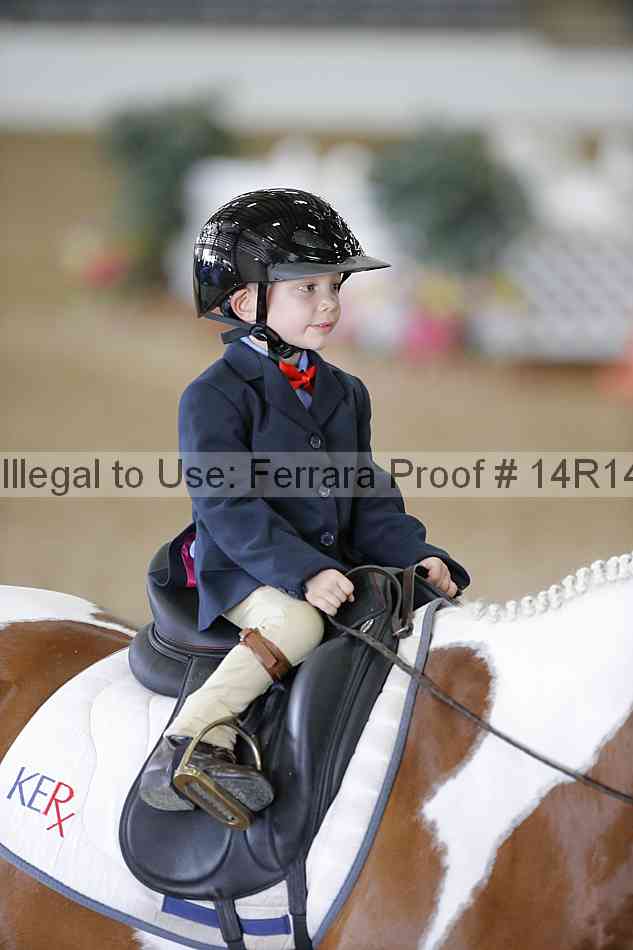 Proof Number 14r14_6398