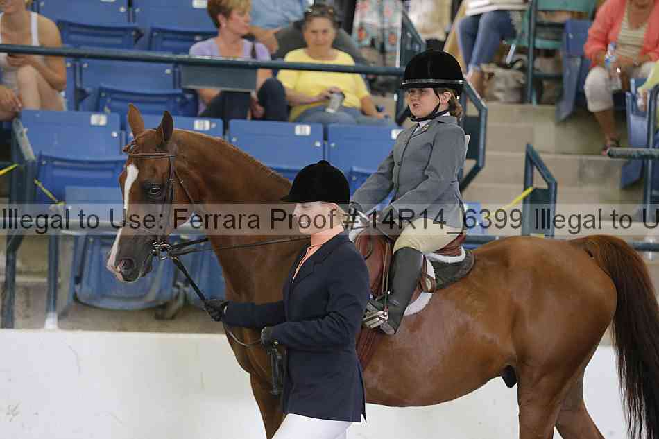 Proof Number 14r14_6399