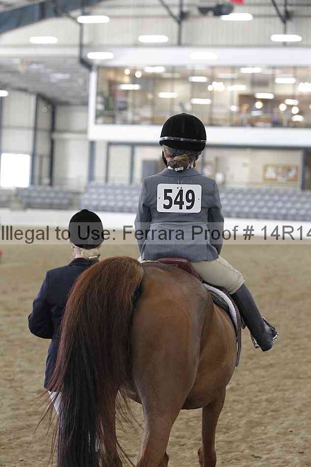 Proof Number 14r14_6400