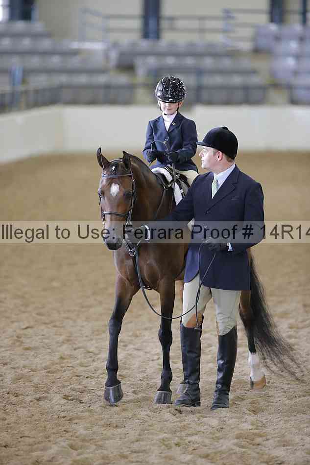 Proof Number 14r14_6401