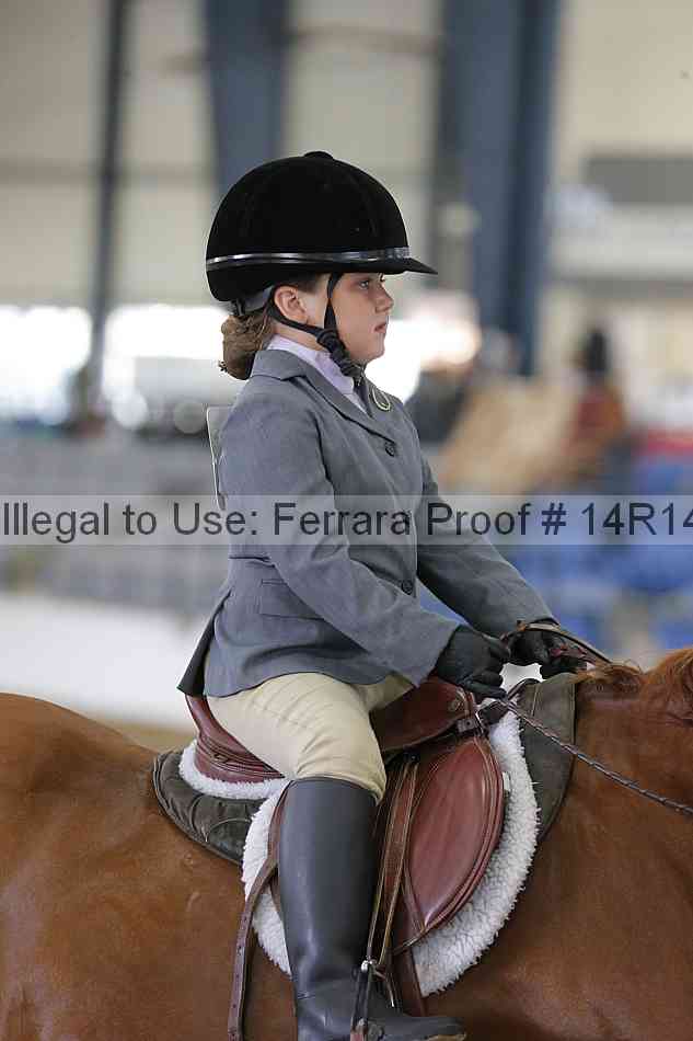 Proof Number 14r14_6423