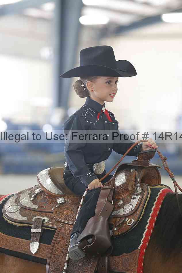 Proof Number 14r14_6429