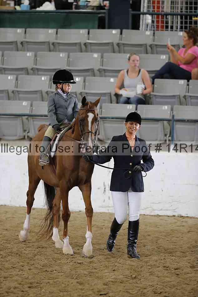 Proof Number 14r14_6433