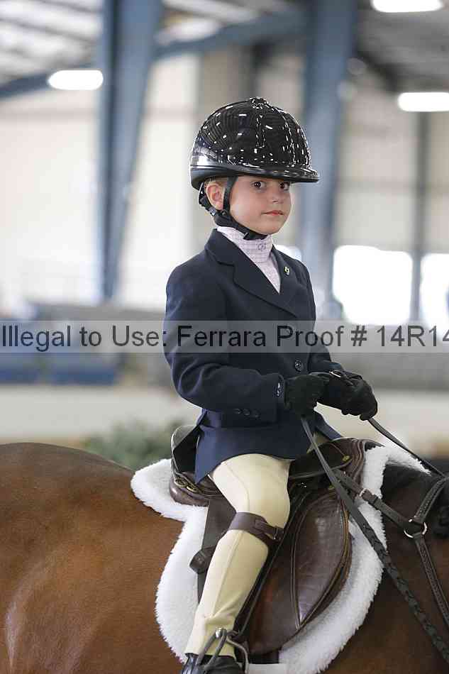 Proof Number 14r14_6435