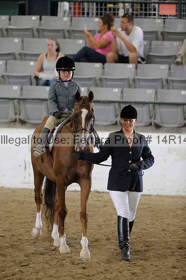 Proof Number 14r14_6436