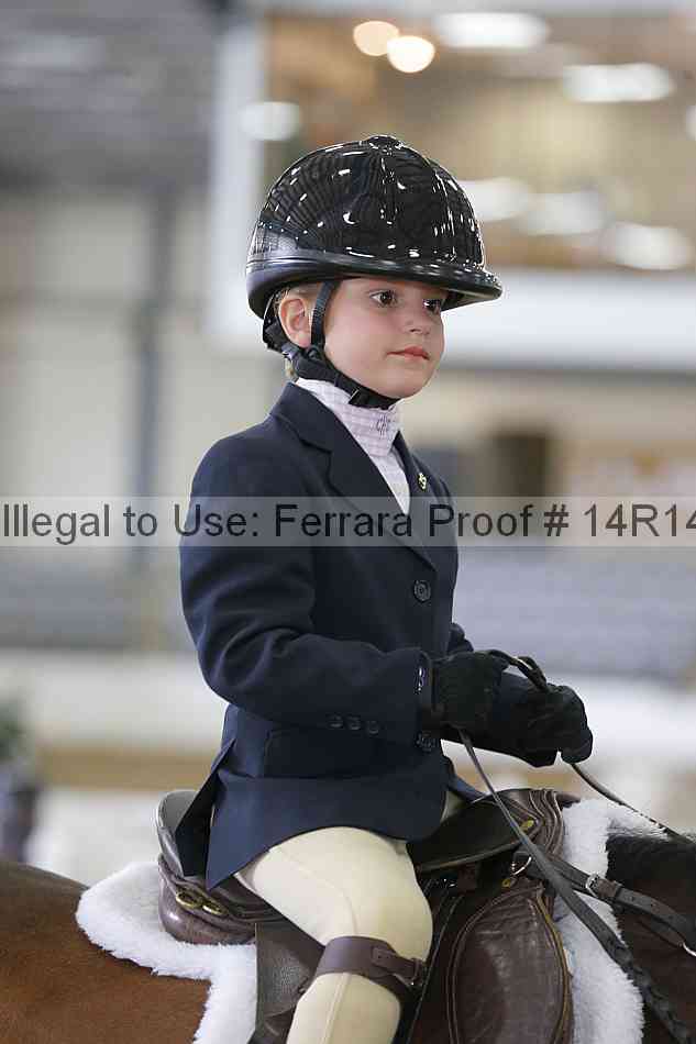 Proof Number 14r14_6437