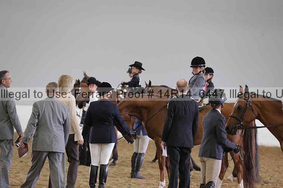 Proof Number 14r14_6447