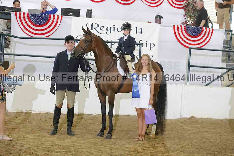 Proof Number 14r14_6464