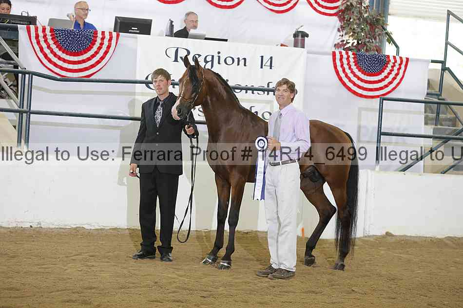 Proof Number 14r14_6499