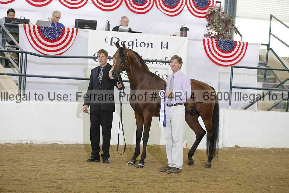 Proof Number 14r14_6500