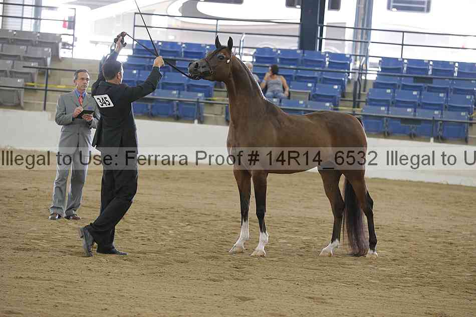 Proof Number 14r14_6532