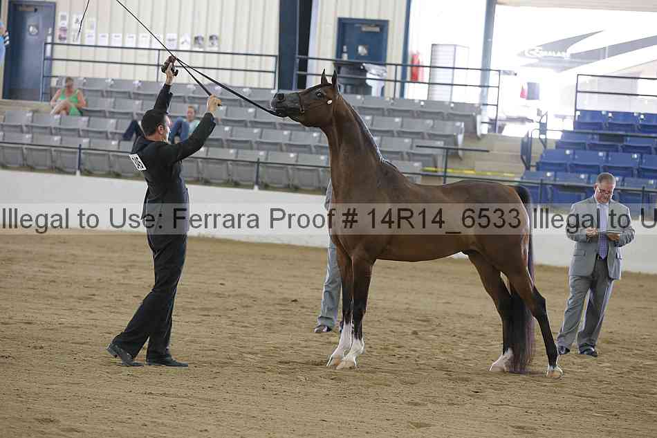Proof Number 14r14_6533