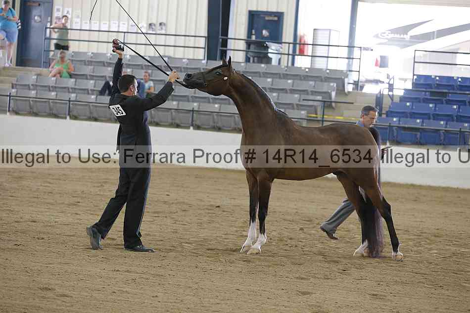 Proof Number 14r14_6534