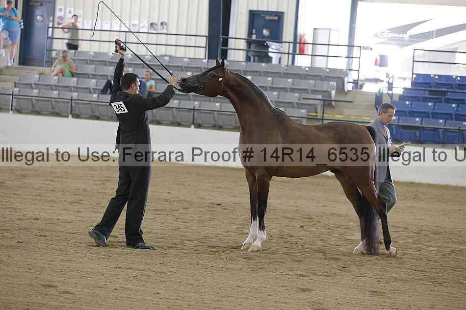 Proof Number 14r14_6535