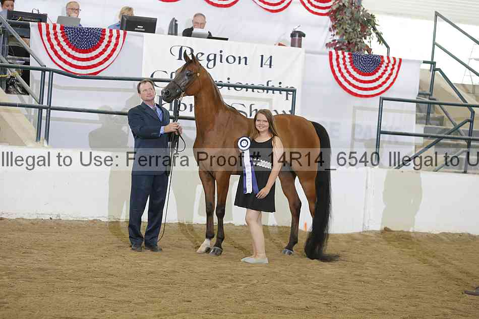 Proof Number 14r14_6540