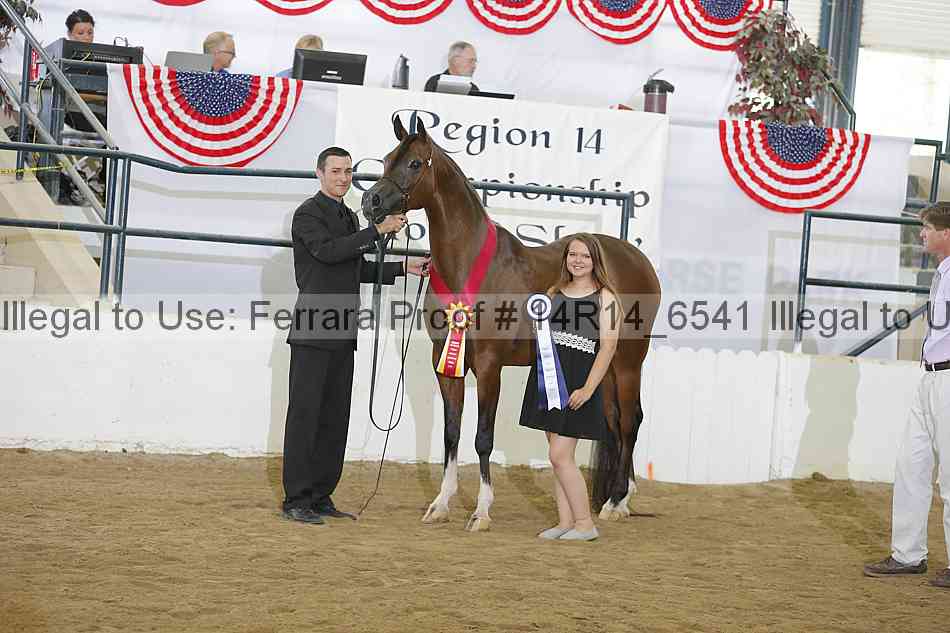 Proof Number 14r14_6541