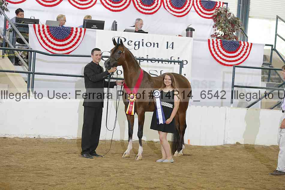 Proof Number 14r14_6542