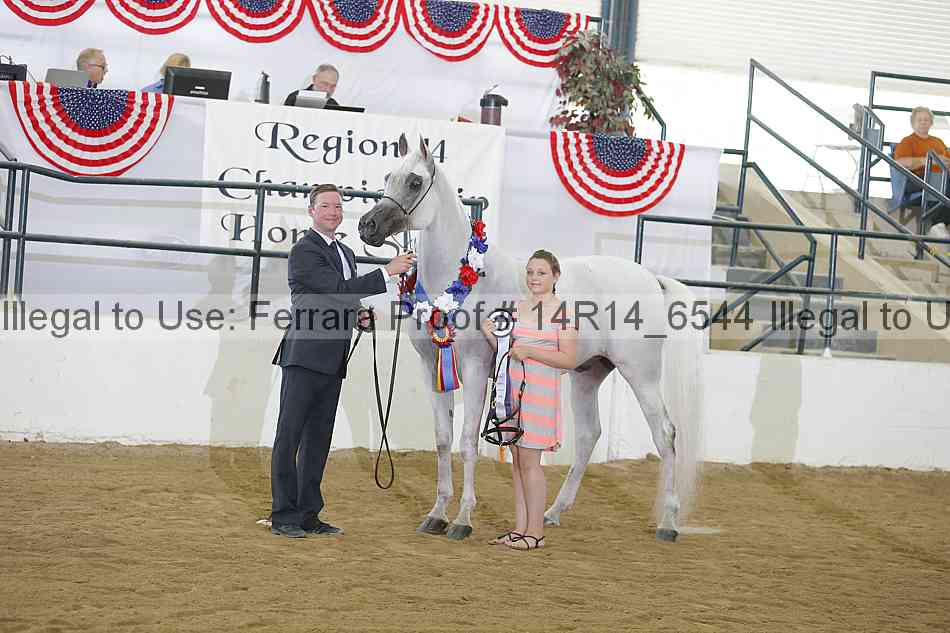 Proof Number 14r14_6544