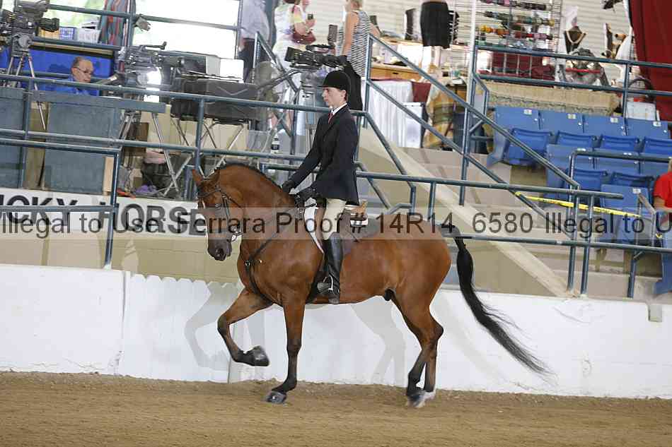 Proof Number 14r14_6580