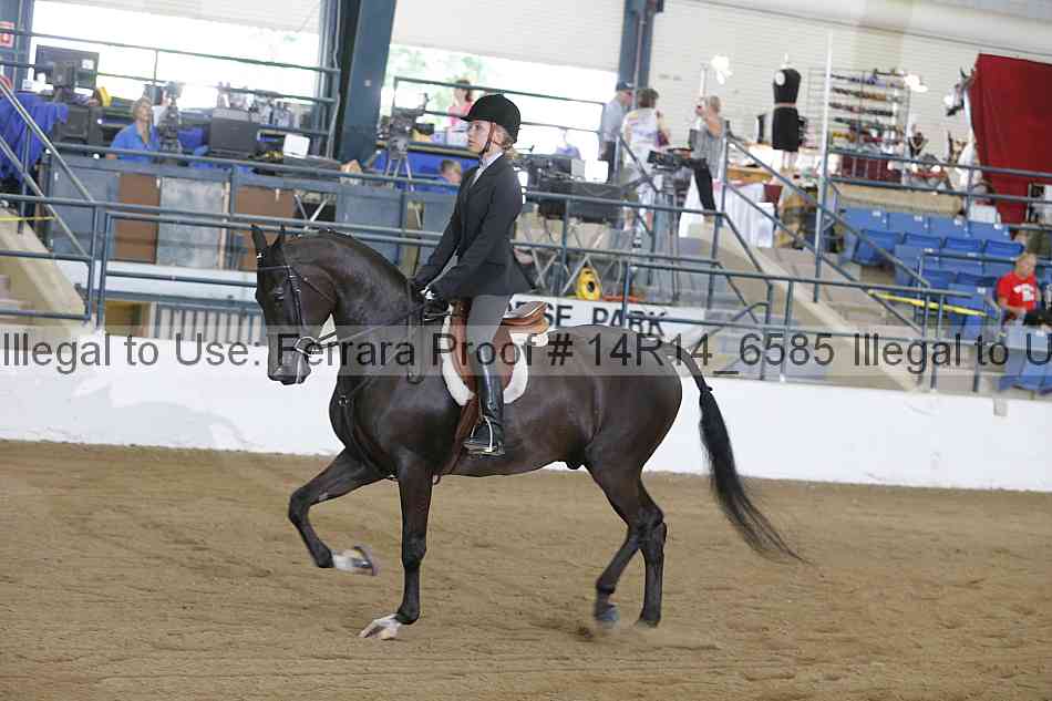 Proof Number 14r14_6585