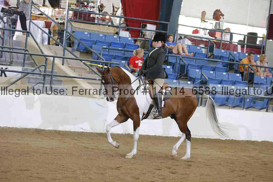 Proof Number 14r14_6588